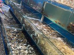 -港畔赶海蒸汽海鲜烧烤自助(仙螺岛店)