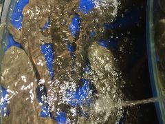 -海景壹号大酒店(滨湖店)