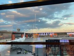 -谢列梅捷沃国际机场