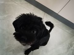 -回味鸭血粉丝汤(南京站店)
