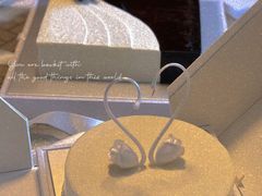 -BLACKSWAN黑天鹅(环球店)