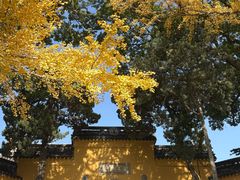 -灵岩山风景区