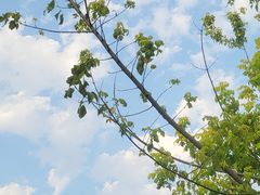 -大连金石滩绿发温泉假日酒店