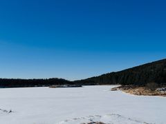 -塞罕坝国家级自然保护区