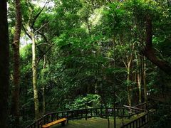 -七仙岭温泉国家森林公园