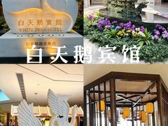 -广州白天鹅宾馆