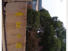 -青枫公园