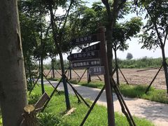 -洪湖湿地生态园