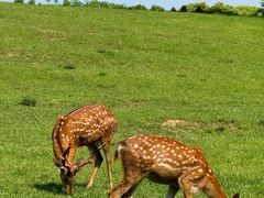 -良渚古城遗址公园