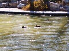 -大兴滨河森林公园