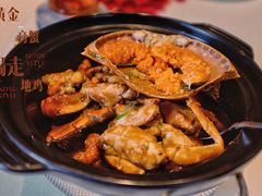 -皇朝会.经典传统粤菜(外滩店)