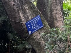 -柳侯公园