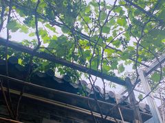 -伊隆斋(什刹海店)