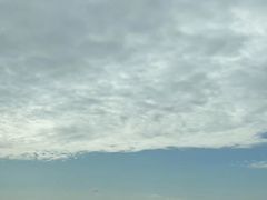 -苏州太湖湖滨国家湿地公园