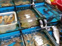 -七宝蔬菜农副产品综合交易市场-停车场