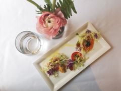 -蝶舍·MAISON PAPILLON