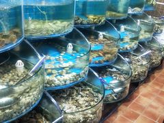 水产区-同道蒸汽海鲜烧烤自助(刘庄夜市店)