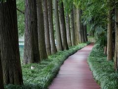 -东湖生态旅游风景区