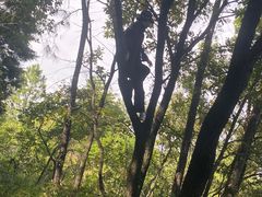 -富乐山
