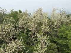 -紫金山索道-售票处