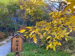 -云峰山自然风景区