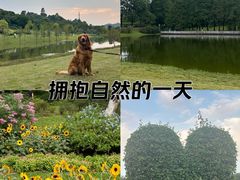 -东莞植物园