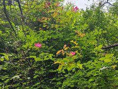 -天津盘山风景名胜区