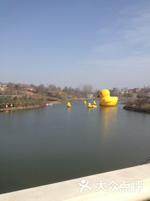 洞林湖新田城-图片-荥阳市生活服务-大众点评网