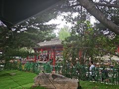 -尚庄度假村·庭台树下·户外烧烤·团建CS·轰趴营地(上庄水库店)