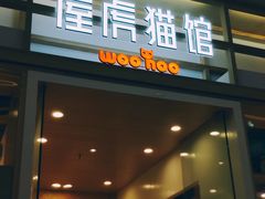 -屋虎猫馆(宝安大仟里店)