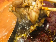 -老天桥蛙炉火锅(昆山直营店)