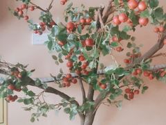 -巢爷老味(东方红店)