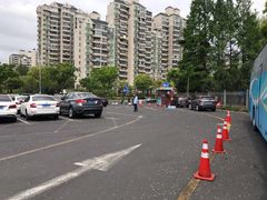 -大宁郁金香公园-停车场