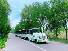 -泗洪洪泽湖湿地景区