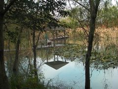 -溱湖国家湿地公园