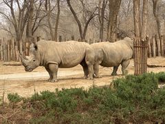 -北京野生动物园