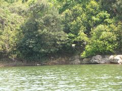 -南京市无想山景区