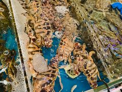 -清水湾3号(东方小周海鲜店)