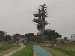 -芒洲湿地公园