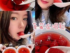 -胖碗火锅(观音桥店)
