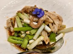 -海派美食·家宴海鲜青岛菜·石锅鲽鱼头(东方城店)