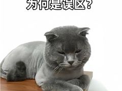 -佩兹宠物医院肿瘤专科·眼科·牙科(黄浦店)