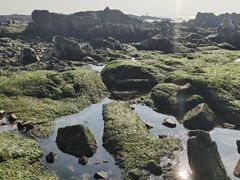 -青岛第二海水浴场