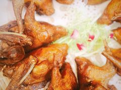 -五谷芳乳鸽王（大梅沙总店C区）(网红打卡店)