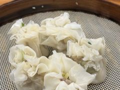 鲜肉烧麦-嘉州海汇源老烧麦店