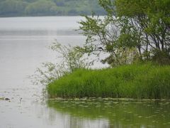 -丁香湖公园