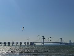 -金沙滩度假村
