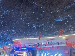 -徐记小怪兽肉蟹煲(中央大街店)