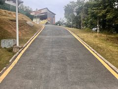 -黄埔油麻山森林公园