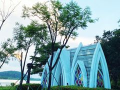 -顺峰山公园